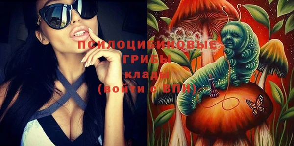 прущий лед Аркадак