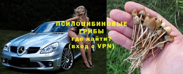 ECSTASY Каменногорск