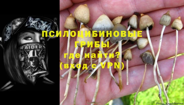 прущий лед Аркадак