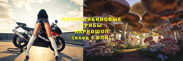 прущий лед Аркадак