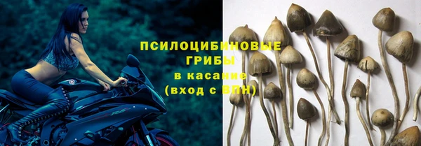 хмурый Каменка