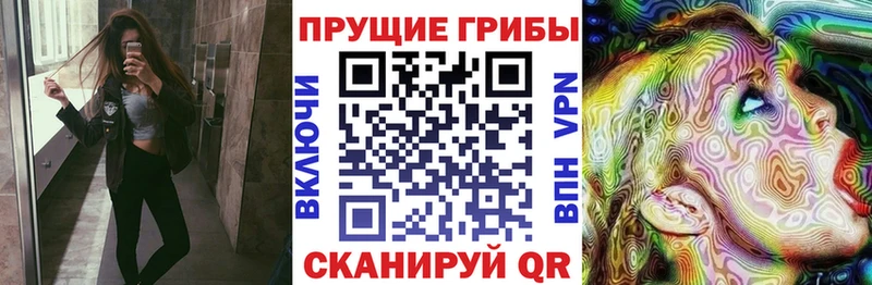 Псилоцибиновые грибы мицелий  Суоярви 